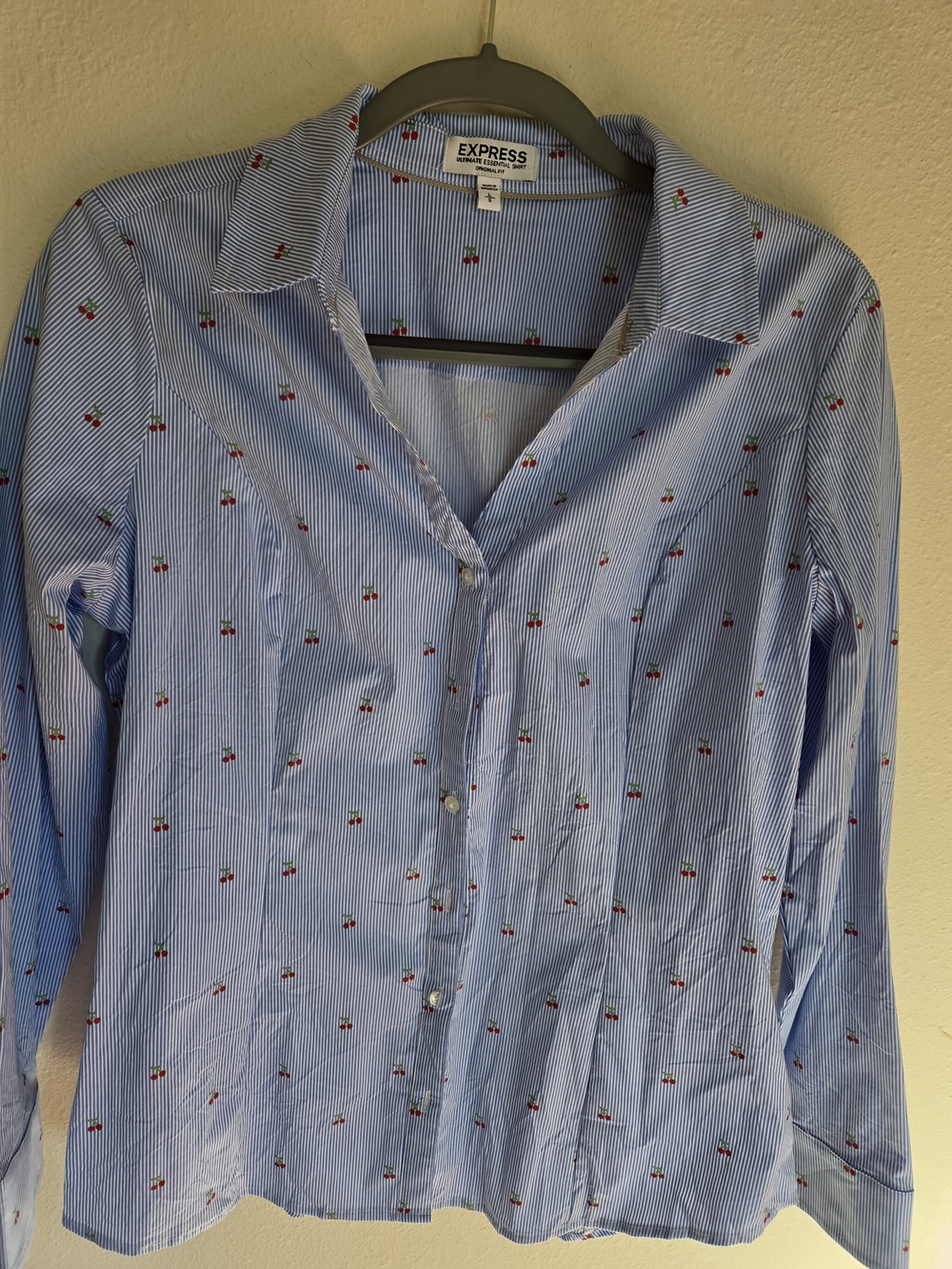 Express Blue Striped Cherry Print Button-Up Blouse